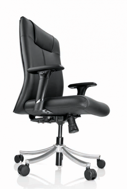 Chair-Xylus M/B LT